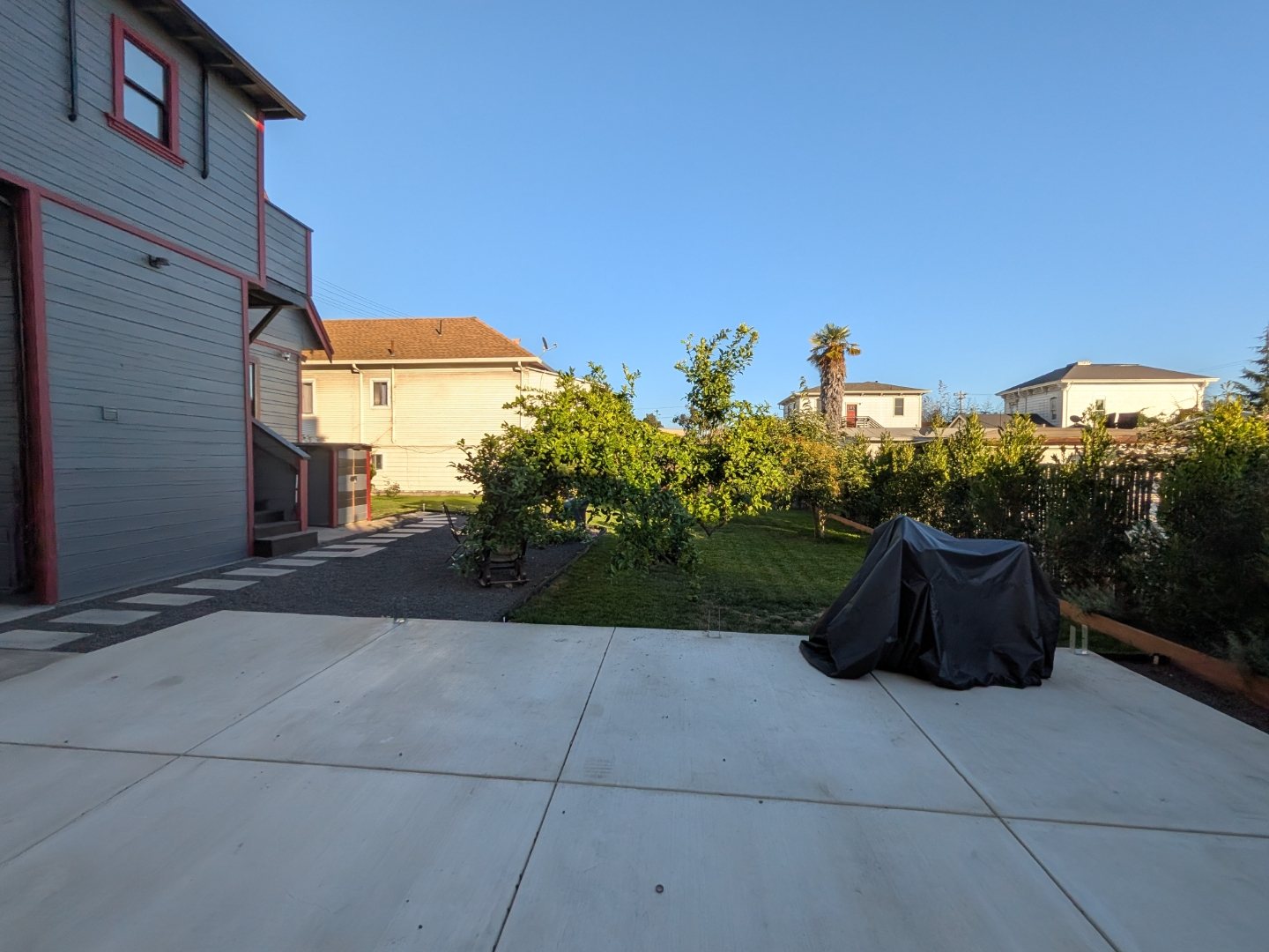 Backyard citrus trees and covered patio furniture at sunset