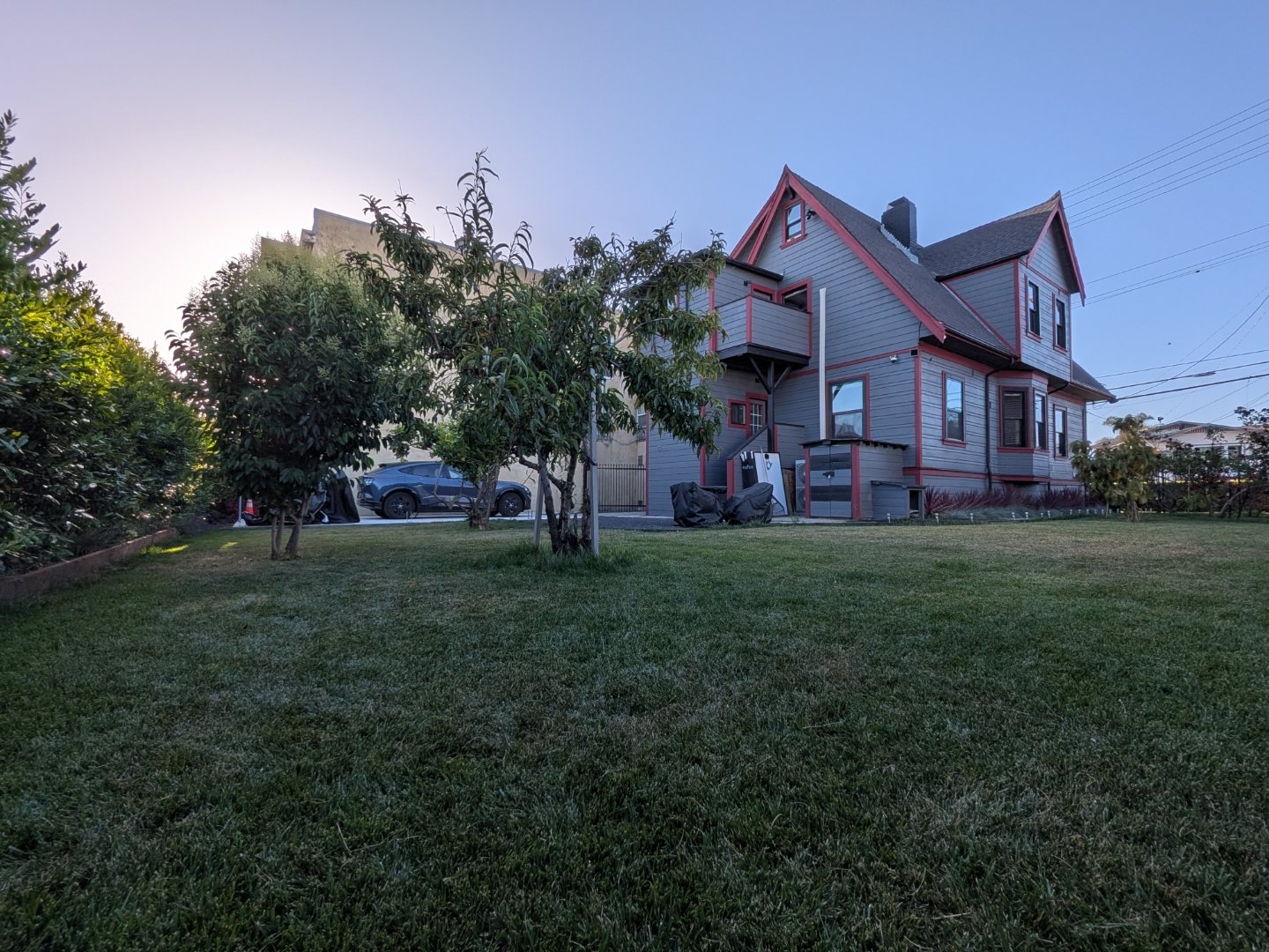 Backyard with young fruit trees, lawn and gated parking area