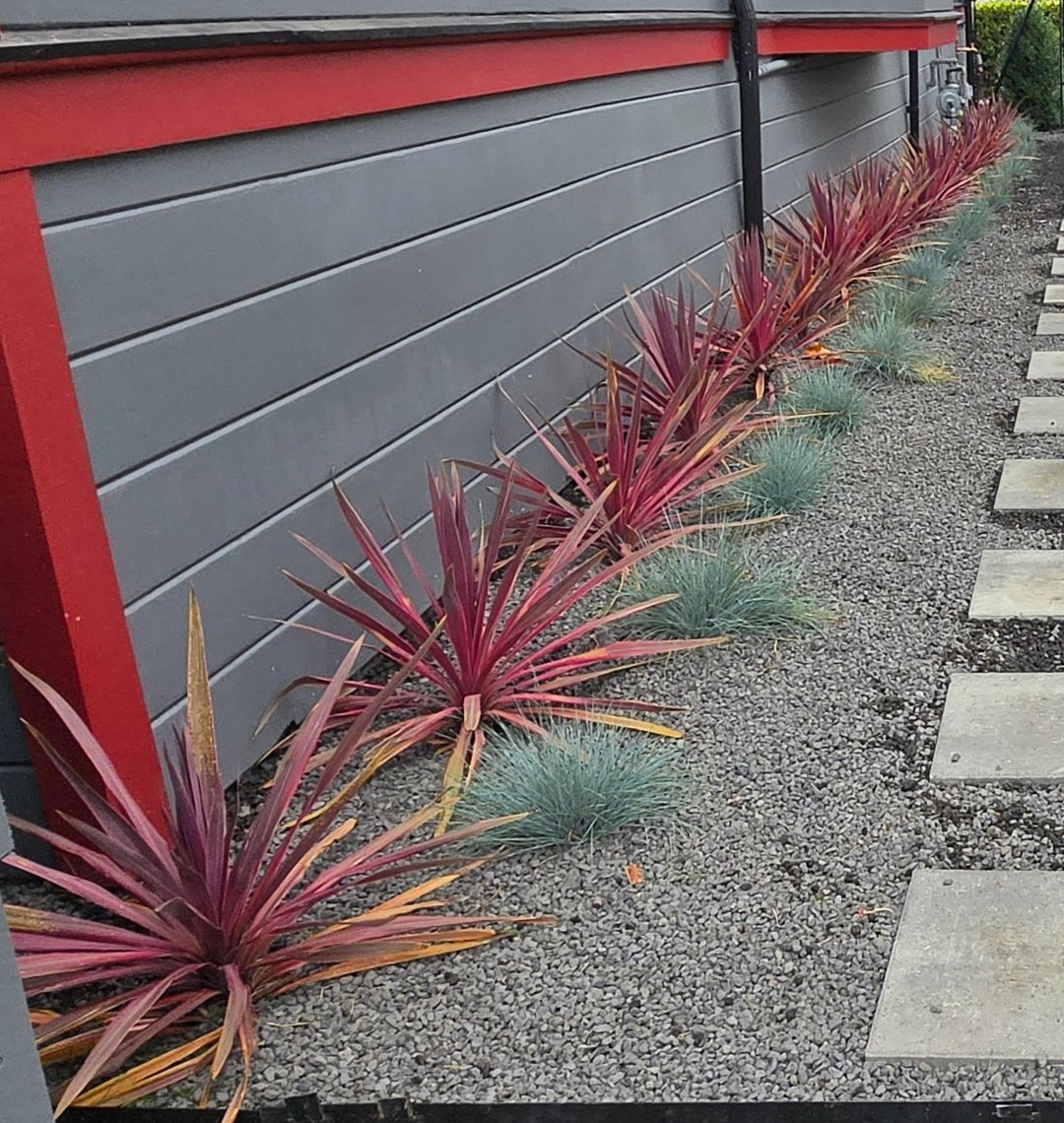 Ornamental red and blue plantings along the gravel side path